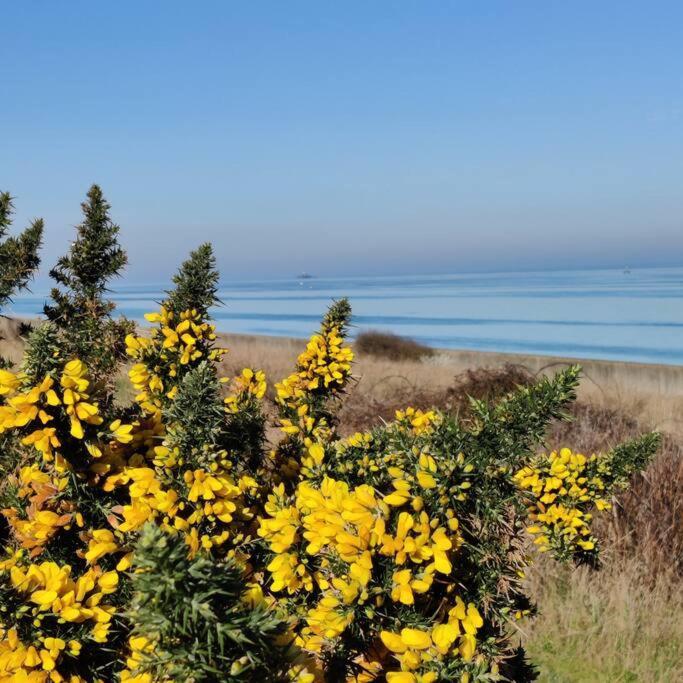Escape To The Coast In A Luxurious Private Apartment Herne Bay Extérieur photo